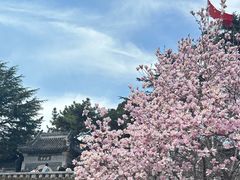 -湛山寺