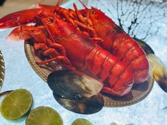 -壳里西餐厅Coquille Seafood Bistro(蒙自路店)