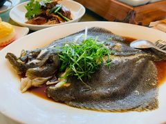 清蒸多宝鱼-金河半岛园林酒家(金融城店)