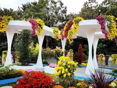 -上海共青森林公园