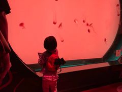 -沈阳海洋探索中心