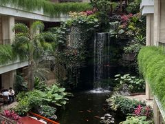 -广州白天鹅宾馆