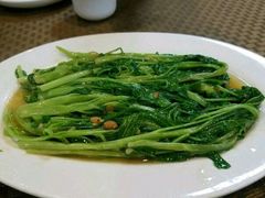 -肥信潮菜(科新路店)