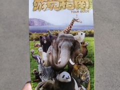 -大连森林动物园