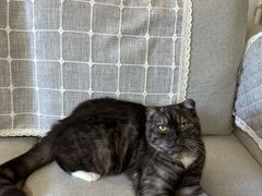 -顺徕德·仙庙烧鸡(桂庙路店)