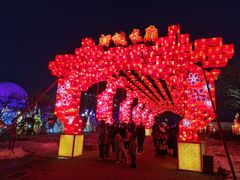 -北京石景山游乐园
