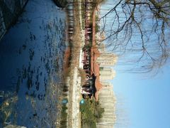 -尚水元休闲自助餐厅(中央城店)