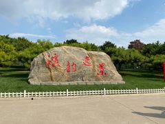 -塘沽森林公园