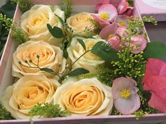 -小西家作(富力爱丁堡店)