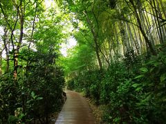 -上海佘山国家森林公园西佘山园