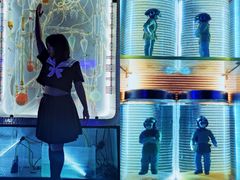 -Darling Queen·Mini·Live·House