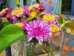 -龙猫意杯花园餐厅(芙蓉湖店)