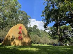 -东莞市大岭山森林公园