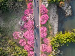 -西溪国家湿地公园