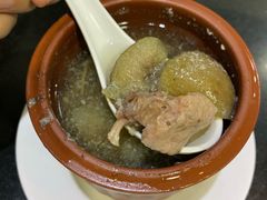 鲜无花果炖白肺汤-华辉拉肠(小北路店)