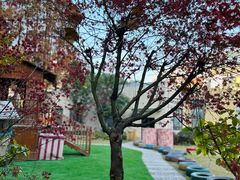 -大宁国际幼儿园(永和东路)