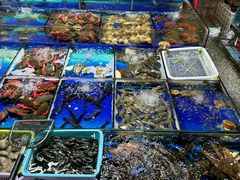 -霞涌市场海鲜摆卖区