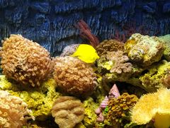 -北戴河圣蓝海洋公园