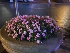-卡路里的烤宴(浑南首创店)