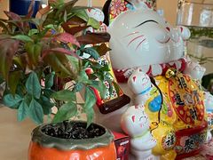 -城南花开咖啡(稻花村店)