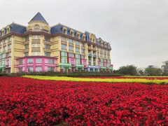 -百万葵园