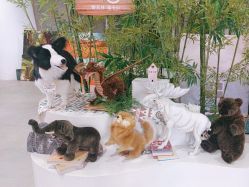 -IMON·HANSA潮玩玩偶毛绒玩具(通州万象汇店)