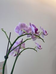 -德绣·机器野生眉发际线·美瞳线半永久
