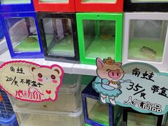 -万商花鸟市场