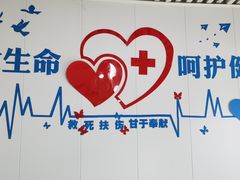 -守诺宠物医院·眼科· 特色牙科·异宠专科(虹口店)