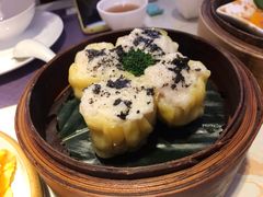 -点都德·毕德寮