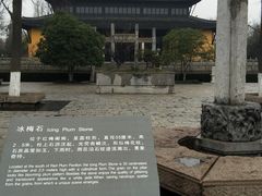 -红梅公园