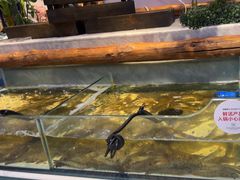 -川骄海鲜自助(河东店)