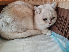 -酷宠动物医院(天通西苑店)