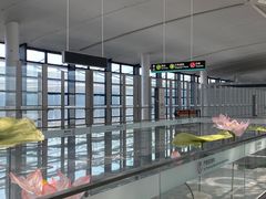 -杭州萧山国际机场