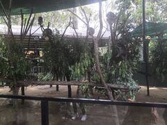 -可伦宾野生动物保护区