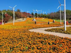 -沈阳植物园