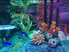 -沈阳海洋探索中心