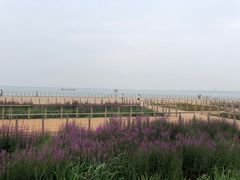 -东疆建设开发纪念公园