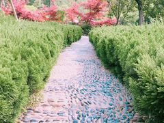 -诸城市恐龙博物馆