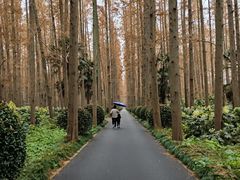 -上海怡沁园度假酒店