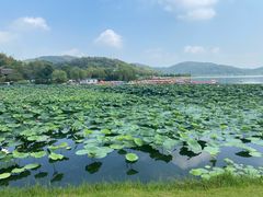 -南北湖风景区