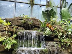 -东莞植物园