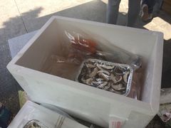 -吴淞炮台湾湿地森林公园烧烤区