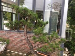 -罗浮山·罗园农庄