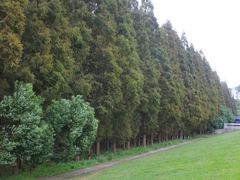 -南京金牛湖风景区