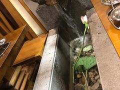 -翠姐姐农家大院(滨康路店)