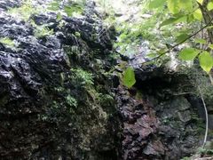 -白草畔自然风景区