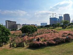 -红花山公园
