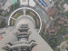 -东方明珠广播电视塔
