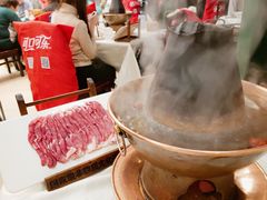 手切鲜羊肉-东来顺饭庄(王府井步行街店)